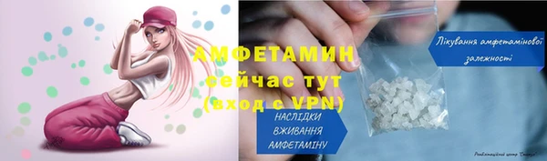 шишки Осташков