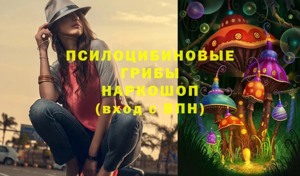 твердый Аркадак