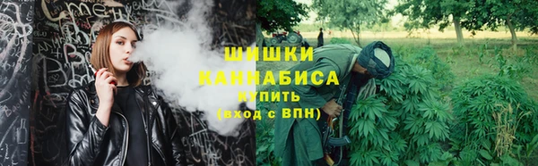 твердый Аркадак