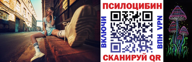 Псилоцибиновые грибы мицелий  Ладушкин 